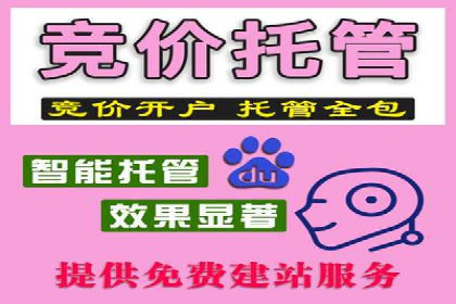 百度推广费用投入与转化率提升的经典案例