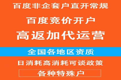 百度广告投放的创意策略及案例分析